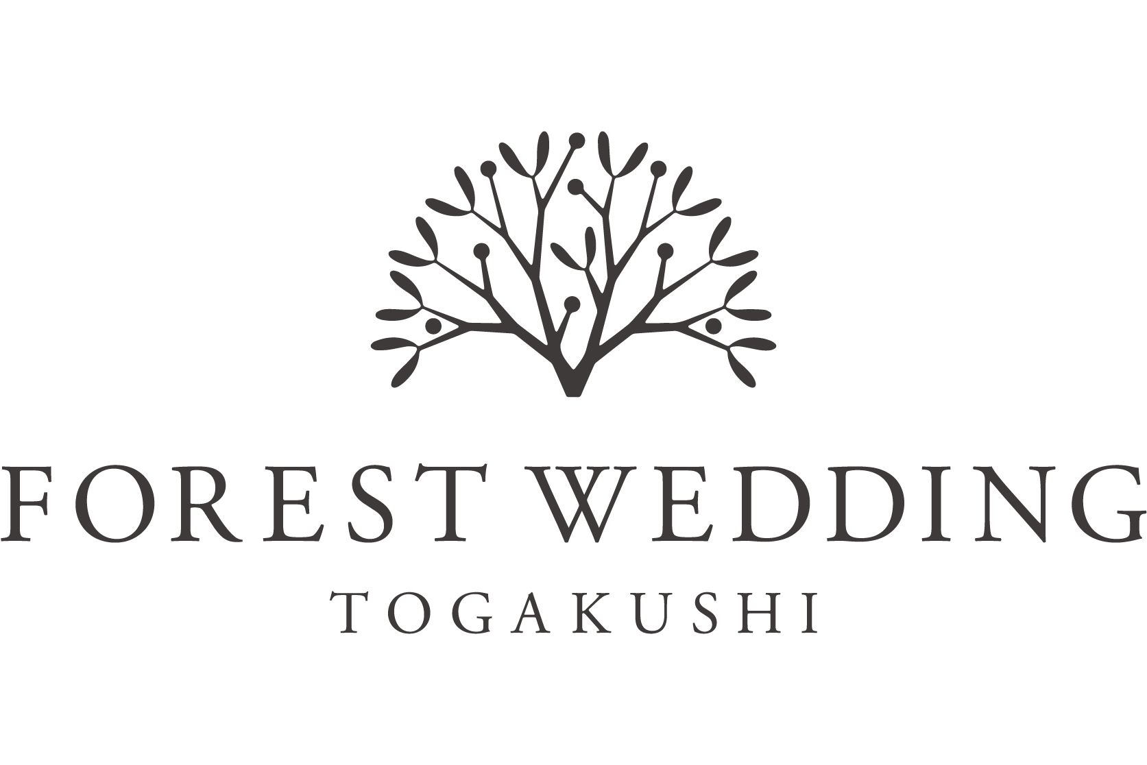 FOREST WEDDING TOGAKUSHI
