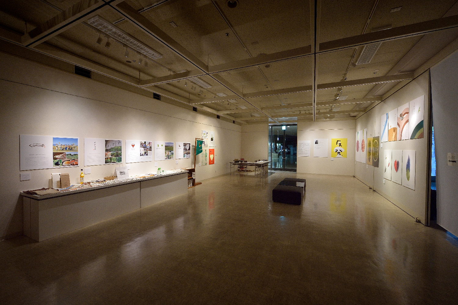 信州新世代のアーティスト展「next」 2013